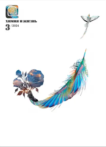 Химия и жизнь (1965-2025) DjVu, PDF скачать торрент