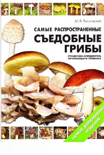 Вишневский М.В. - Вишневский М.В. - Самые распространенные съедобные грибы (2010) DjVu скачать торрент