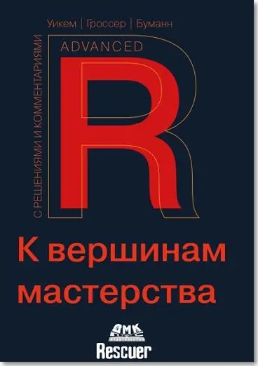 Хэдли Уикем, Мальте Гроссер, Хеннинг Буманн - Хэдли Уикем, Мальте Гроссер, Хеннинг Буманн - R. К вершинам мастерства (2024) PDF скачать торрент