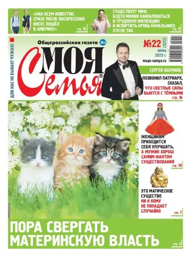 Моя семья. Общероссийская газета (22 номера) (2025) PDF скачать торрент
