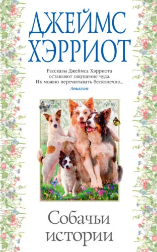 Хэрриот Джеймс - Хэрриот Джеймс - Собачьи истории (2022) EPUB, FB2, PDF, RTF скачать торрент
