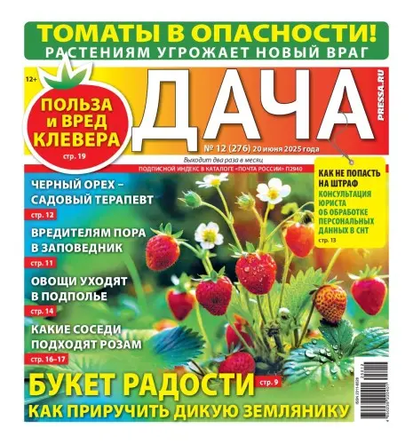 Дача Pressa.ru (278 номеров) (2014-2025) PDF скачать торрент