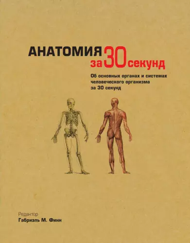 Габриэля Финна - Габриэля Финна - Анатомия за 30 секунд (2014) PDF скачать торрент