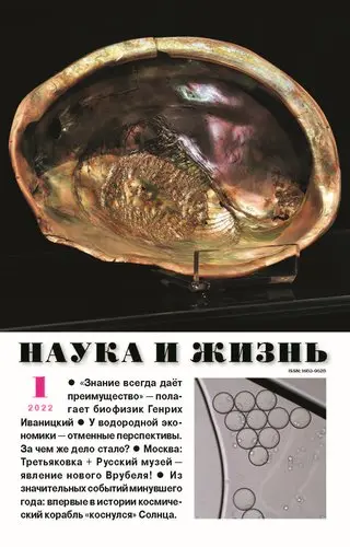 Наука и жизнь (1081 номер) (1890-2025) DjVu, PDF скачать торрент