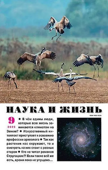 Наука и жизнь №09 (Сентябрь) (2025) PDF скачать торрент