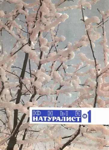 Юный натуралист (220 номеров) (1930-2009) DjVu, PDF скачать торрент