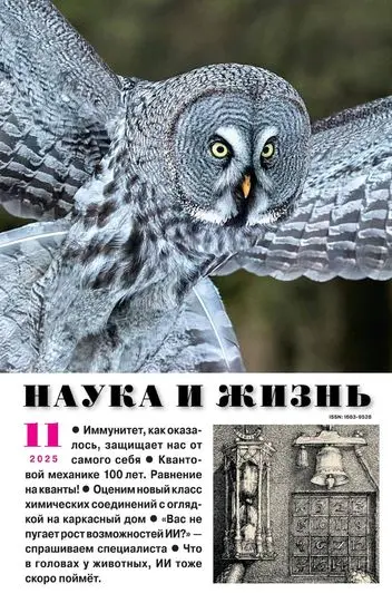 Наука и жизнь №11 (Ноябрь) (2025) PDF скачать торрент