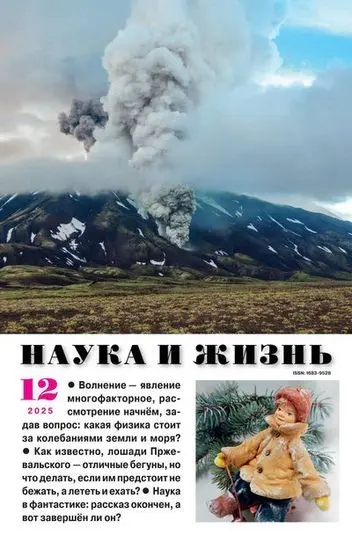 Наука и жизнь №12 (Декабрь) (2025) PDF скачать торрент