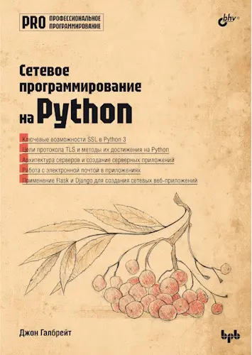 Галбрейт Дж. - Сетевое программирование на Python