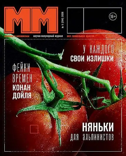 Машины и механизмы №01 [244] январь (2026) PDF скачать торрент